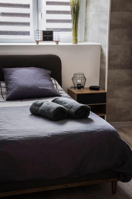 Apartmán Les 4 Chenes - T2 Refait A Neuf Le Pont-de-Beauvoisin Exteriér fotografie